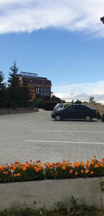 Pensiunea Carmena Băile Felix Esterno foto