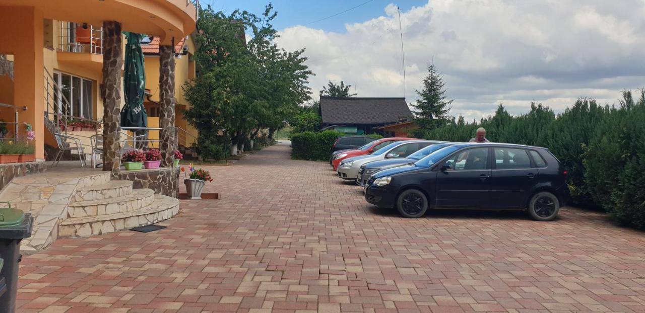 Pensiunea Carmena Băile Felix Esterno foto
