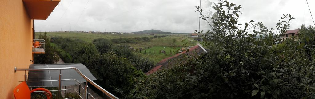 Pensiunea Carmena Băile Felix Esterno foto
